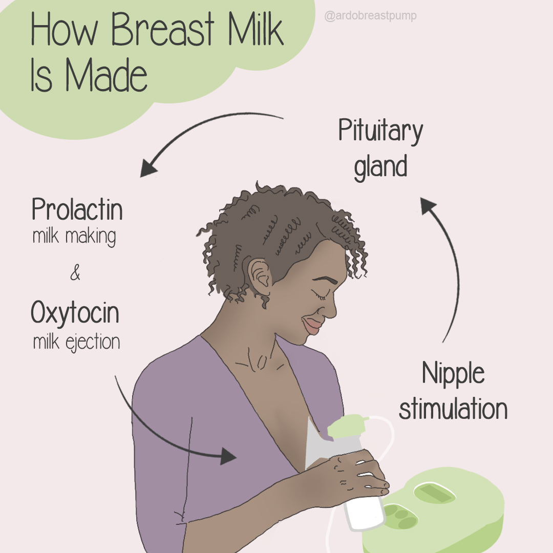 how is breast milk made